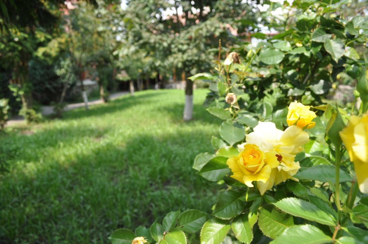 Casa Diu Apartman Felek Kültér fotó